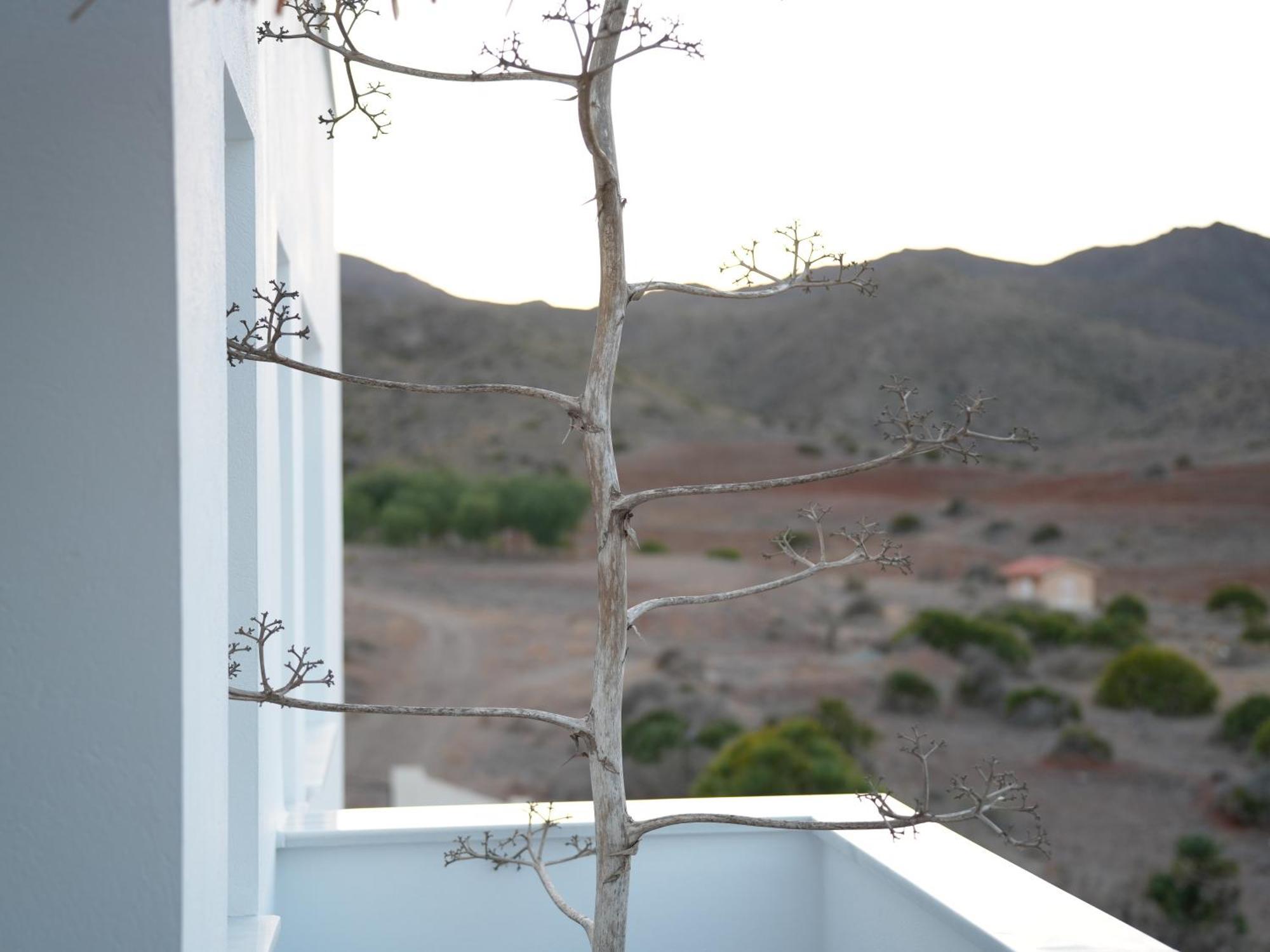 Senses Villa 산 호세 외부 사진